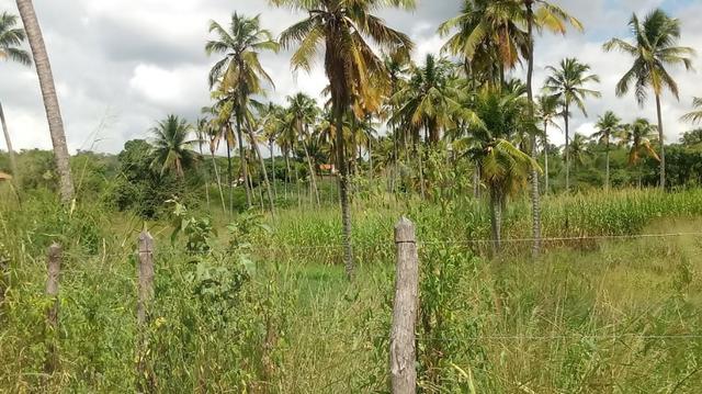 Excelente propriedade de 9.5 hectares, rica em água, em Glória do Goitá-PE - Foto 4