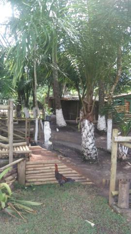 Eco village aritagua - Praia do Norte - Ilheus - Foto 4