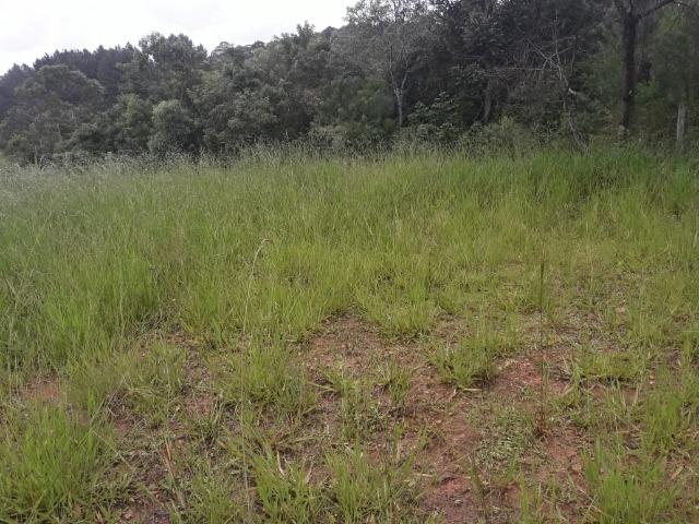 Chácara com 1210 m2 (13x93) - Foto 5