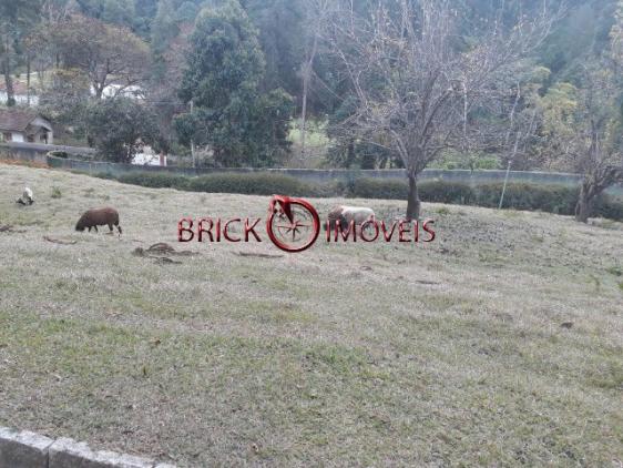 Excelente sítio com área de 10 mil m² com casa principal, casa de caseiro e área de lazer. - Foto 19