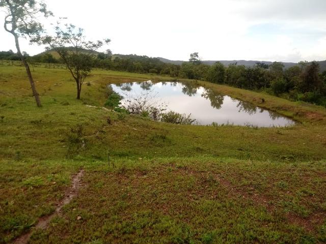 Fazenda 170 Alqueires Municipio Cocalzinho - Foto 14
