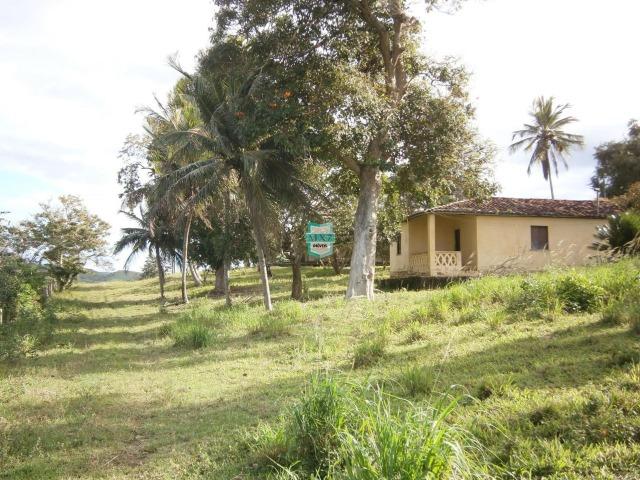 Fazenda Pecuária no Gongogi de 1.100 Hectares. Melhor custo beneficio - Foto 8