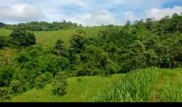 Belíssima Propriedade em Cachoeiras de Macacu medindo 200.000m2 oportunidade!!! - Foto 6