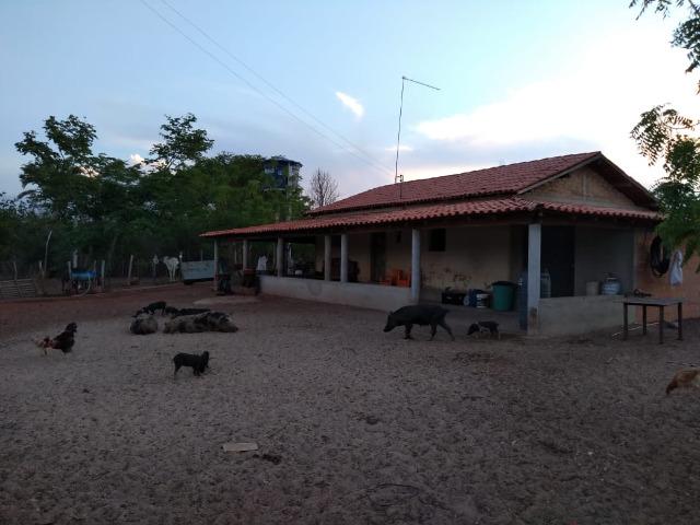 Propriedade rural - Foto 2