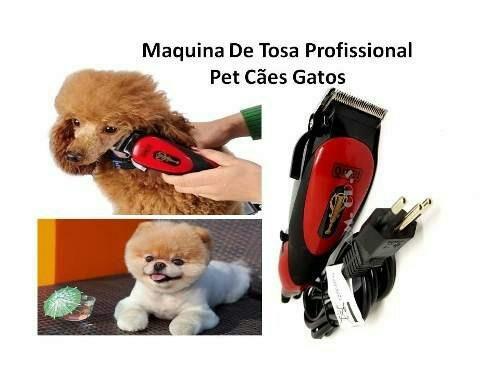 Máquina de tosa cachorro e gatos Qirui - Foto 2