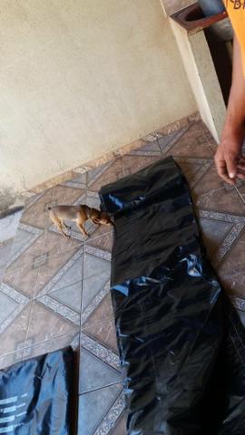 Lona emborrachada para caminhão