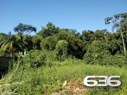 Terreno | Joinville | Santo Antônio - Foto 3