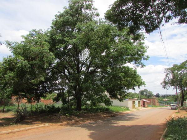 Terreno em rua - Bairro Jardim Veneza em Aparecida de Goiânia - Foto 9