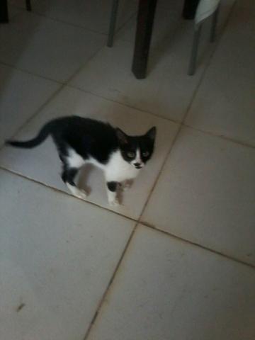 Otima companhia