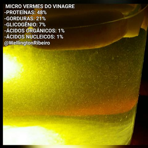 Alimentos vivos para peixes ornamentais. - Foto 2
