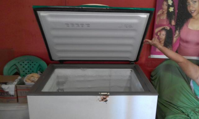 Vendo freezer - Foto 2