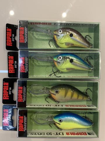 Isca Artificial Rapala DT-10