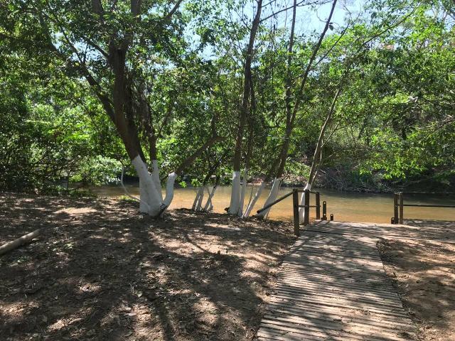 Lote com acesso ao Rio Atraz do belvedere - Foto 8
