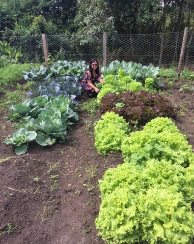 Ótimo sítio com 02 hectares em patos de minas - Foto 20