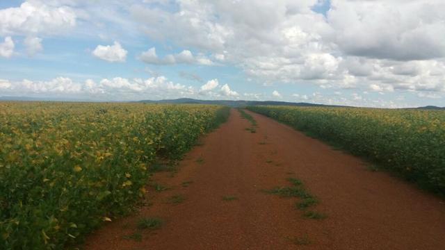 Fazenda à venda: 130 km de Brasília - DF, 1.683 hectares - R$ 40.000.000,00 - Foto 10