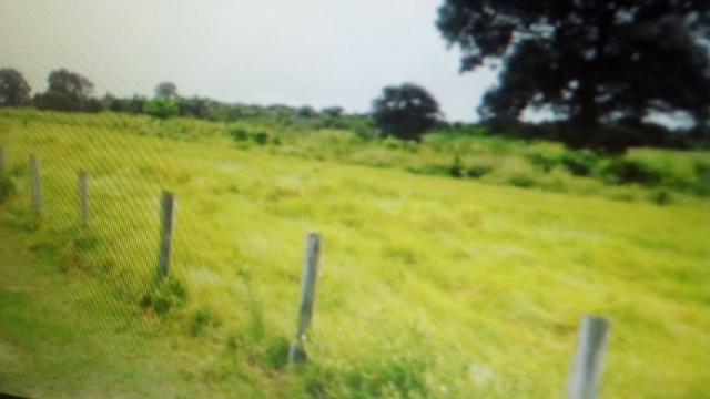 Fazenda 88 mil hectares de porteira fechada localizada na transpantaneira 220 km de Cuiabá