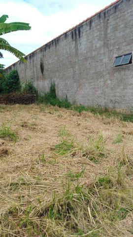 Lote - Foto 7