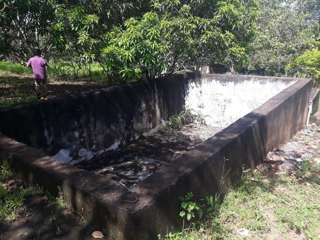 Vendo Chácara Escriturada de 2 hectares na Região do Novo Gama à 10 minutos do Lago Azul - Foto 9