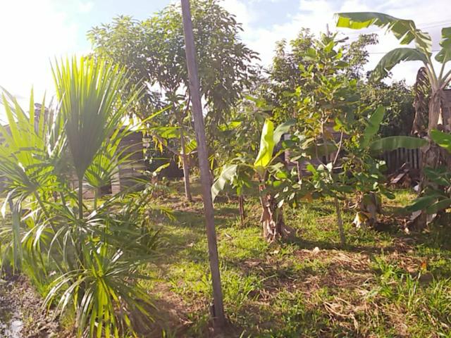 Troco por colônia essa casa ! - Foto 4