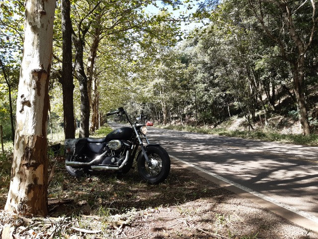 Harley Davidson 1200 - Foto 3