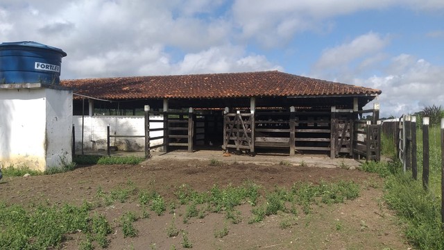 Vendo Fazendinha Em São Gonçalo dos Campos 