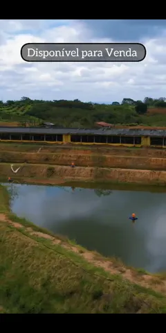 Olha o preço dessa bandeja de camarão no Walmart eu achei muito gigante  esses camarão kkkk conta p mim se vc gosta e o preço aí perto da sua casa  👇🏻💋❤️🇺🇸