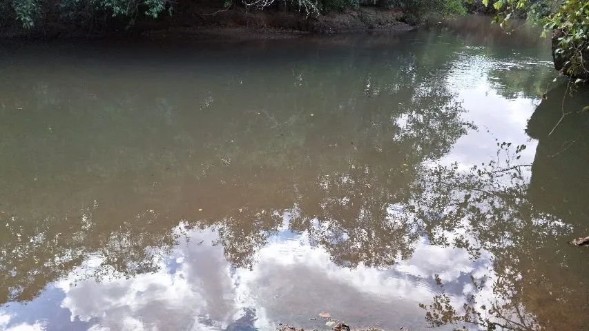Chácara de 5 alqueire em Bela Vista de Goiás. - Foto 2