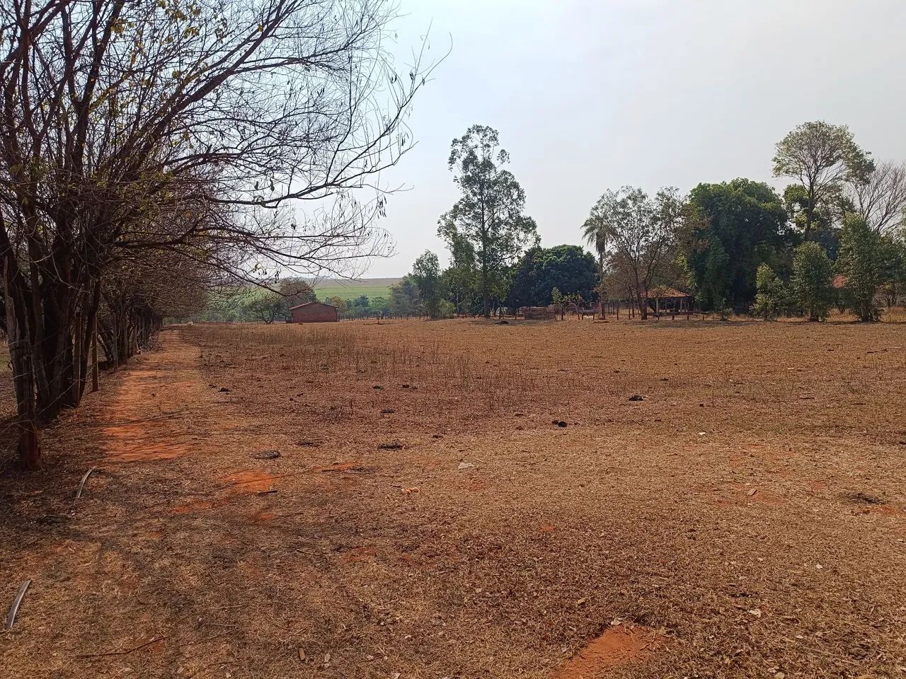 Chácara Arco Íris em Araçatuba-SP- terreno de 5000 m² - Oportunidade - Foto 3
