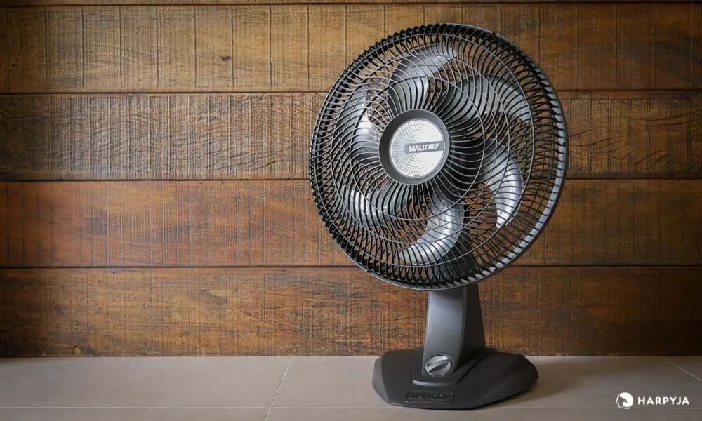 Ventilador de Mesa Mallory Grande novo-R%179.00 avista.
