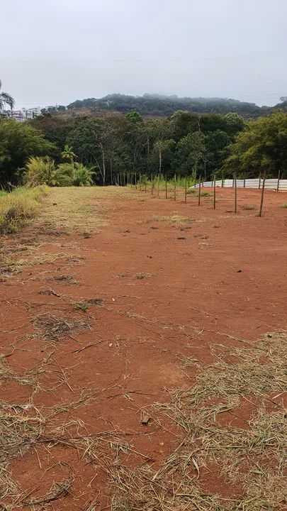 foto - Juiz de Fora - Bosque do Imperador