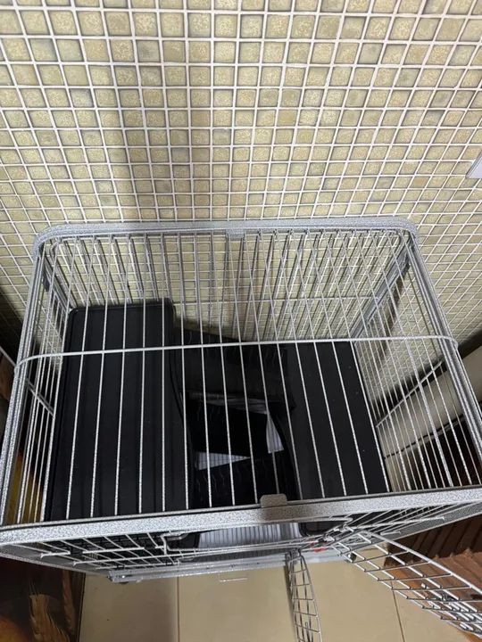 Gaiola palace - Foto 5