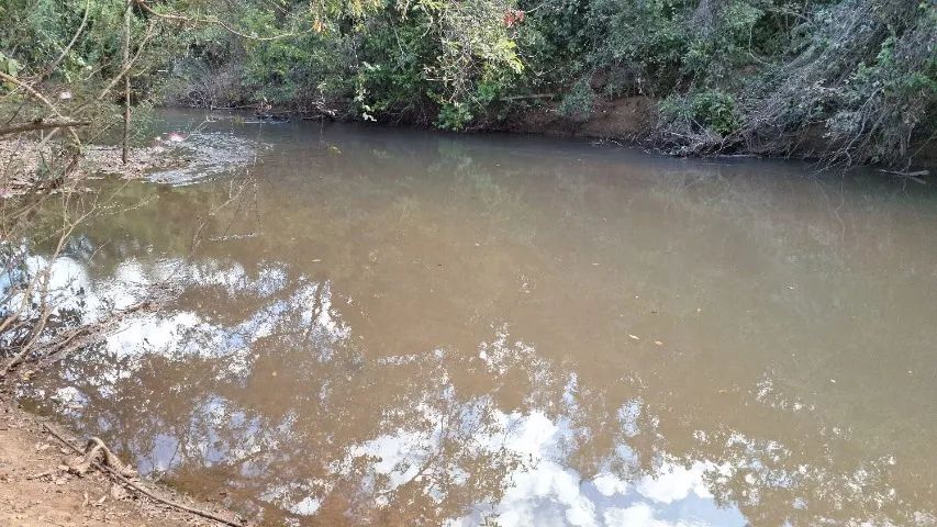 Chácara de 5 alqueire em Bela Vista de Goiás. - Foto 3
