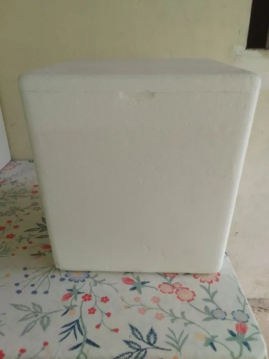 Caixa de isopor 1