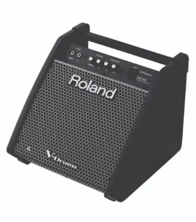 Monitor Pessoal V-Drums Roland PM100 110V