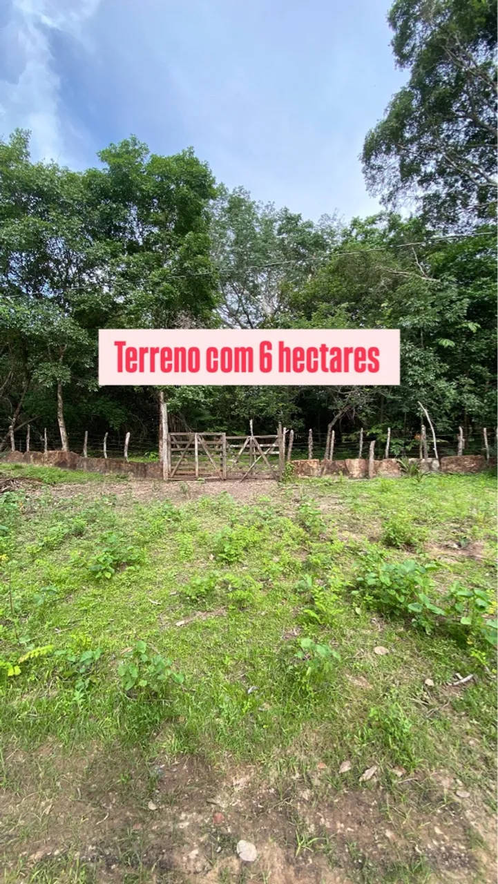 Terreno na zona rural de Altos / fazenda /sítio/lote /