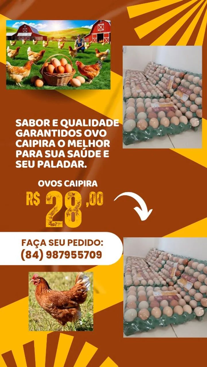 Ovos caipira - Foto 2