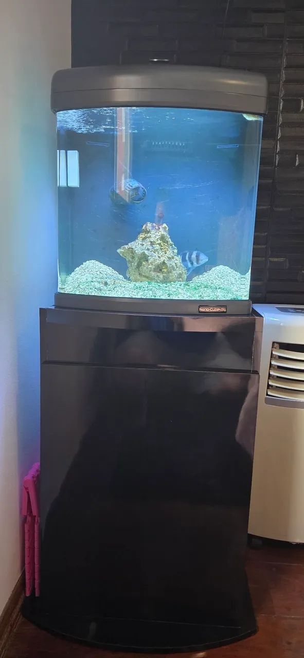 Aquário Curvo JBJ Nano-Cube 28G - 110 Litros - Completo!