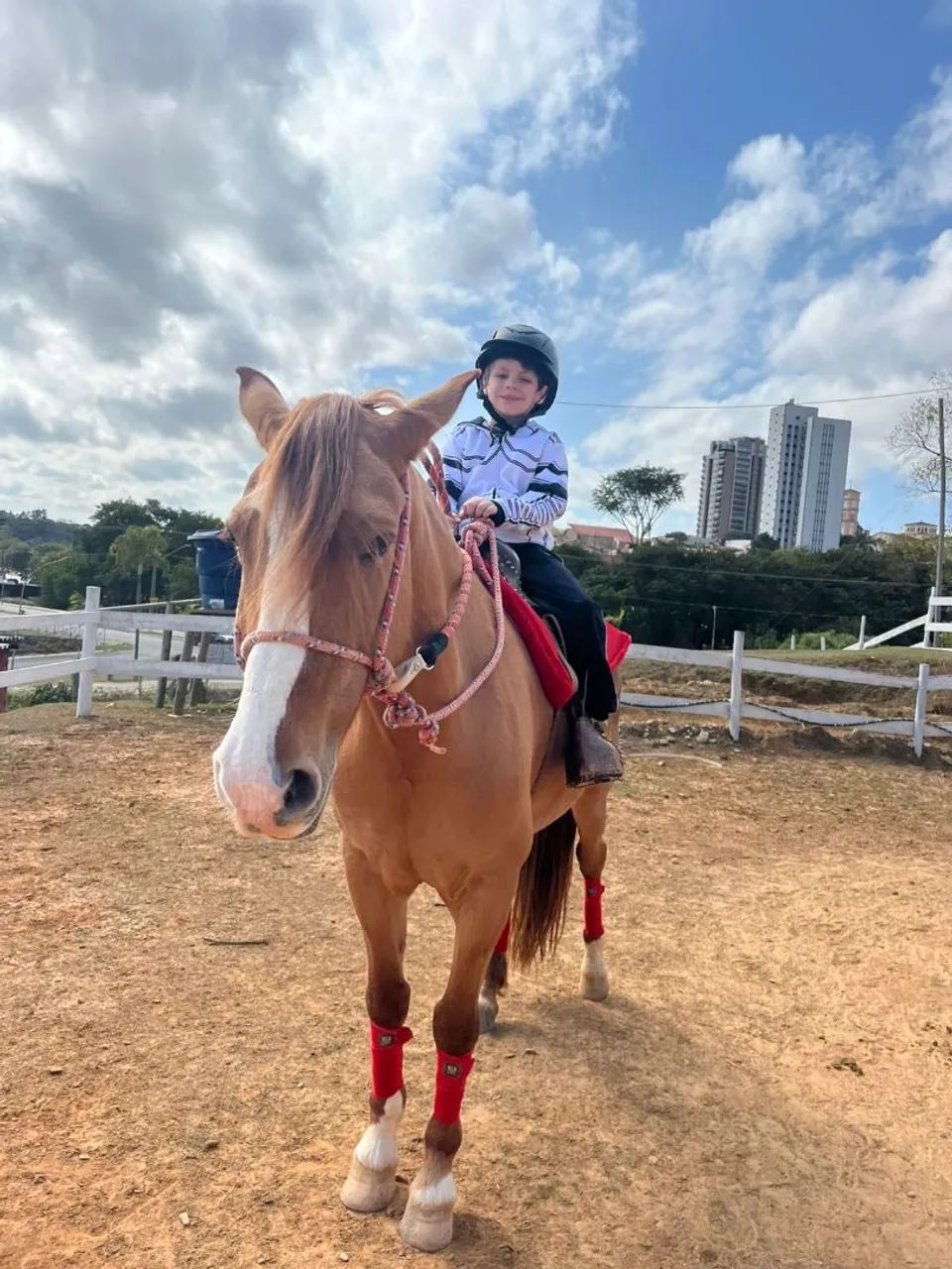 AULA DE EQUITAÇÃO  - Foto 3