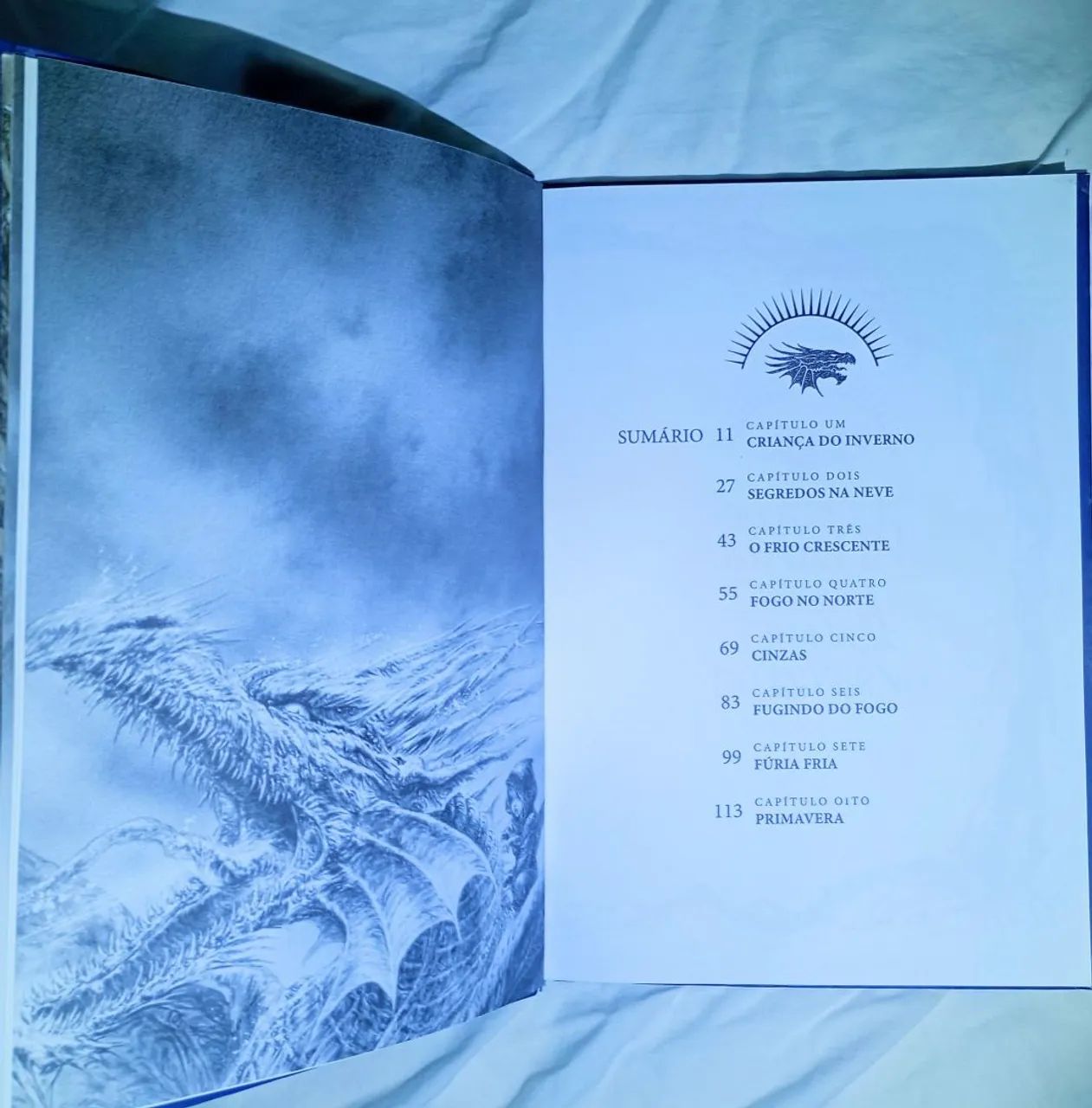 O Dragão De Gelo De George R.R Martin mesmo autor de as séries Crônicas de Gelo e Fogo  - Foto 4