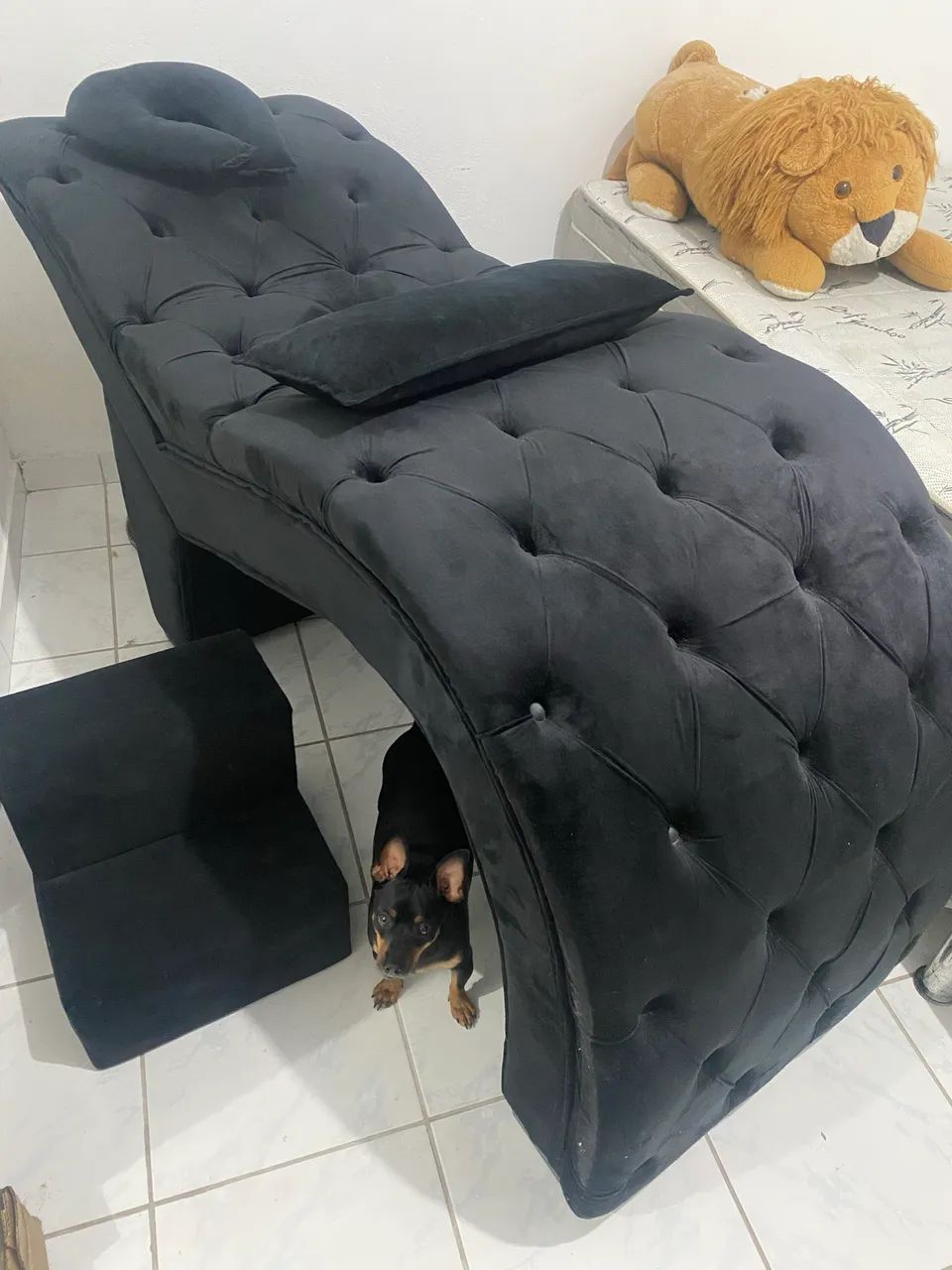 Maca luxo64529926123649122