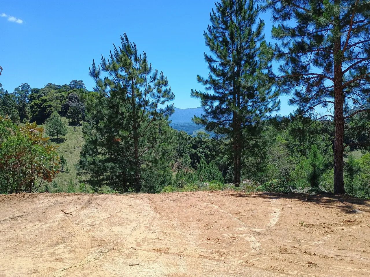 ANITÁPOLIS/SC - Belíssimo terreno para seu sítio! - Foto 4