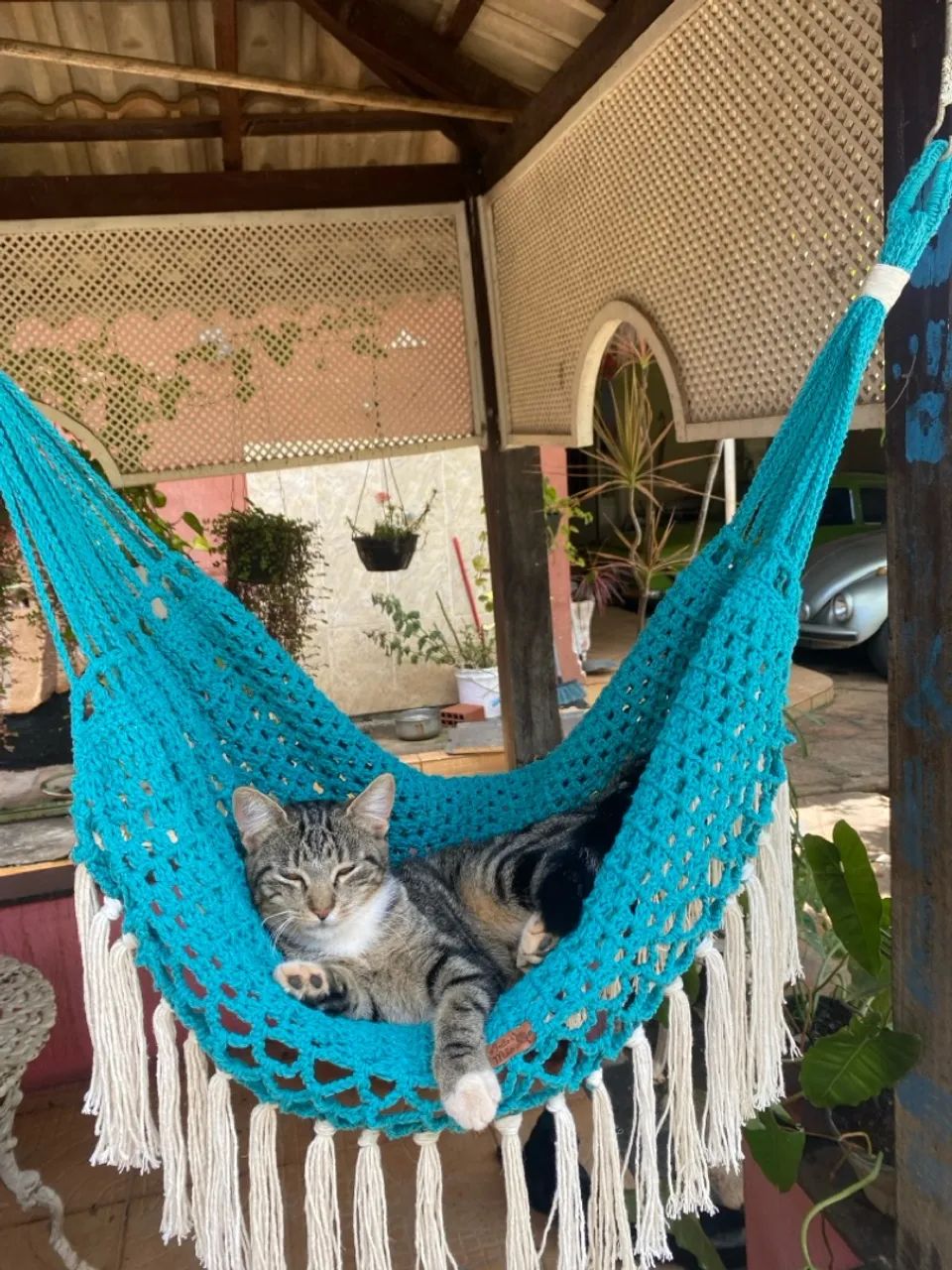 Redes para Pets  - Foto 5