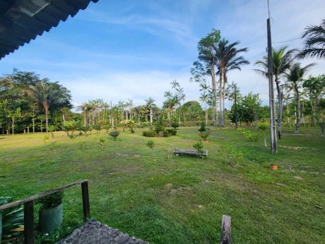 Sítio 1000 x 3.000 estrada Balbina  1.016.000 - Foto 3