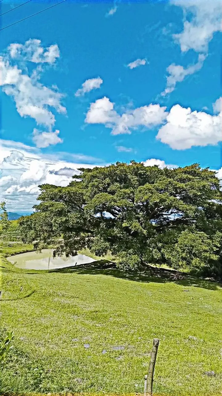 Vendo vendo lindo sitio