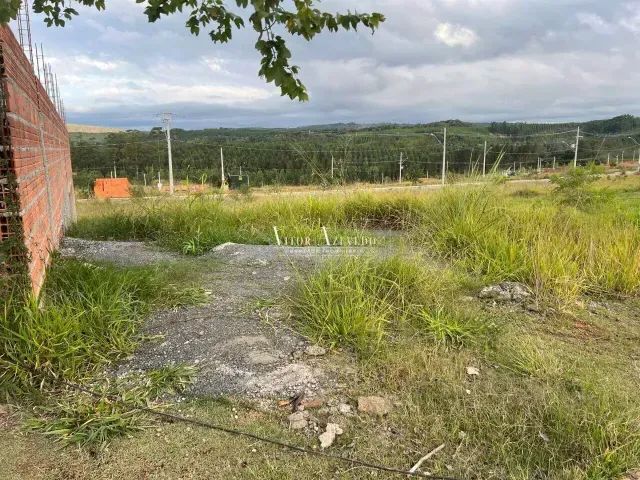 Foto - Votorantim - Vivalegro