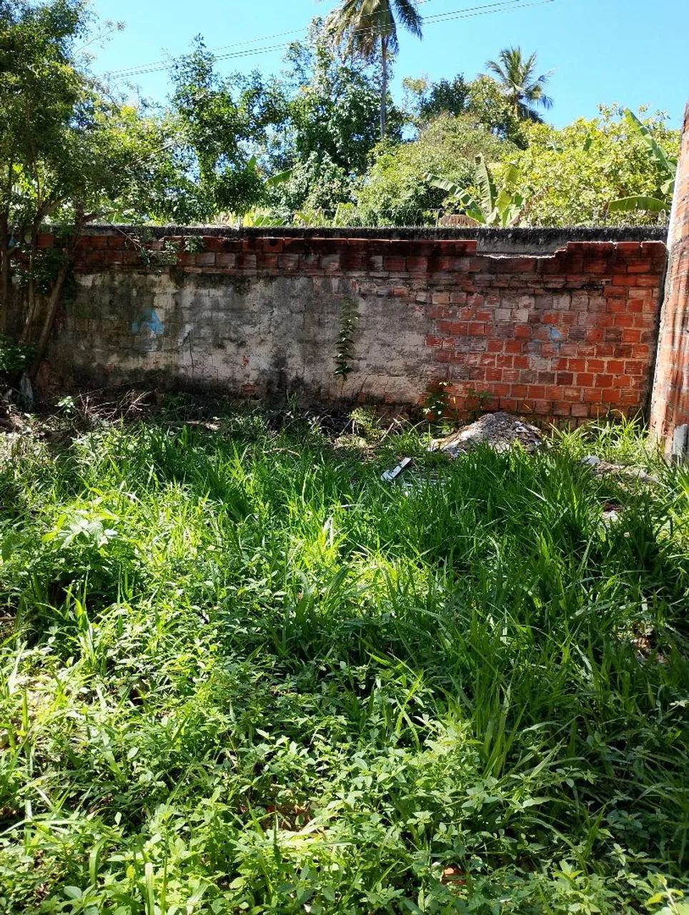 Vendo Terreno na Estrada do Côco  - Foto 3