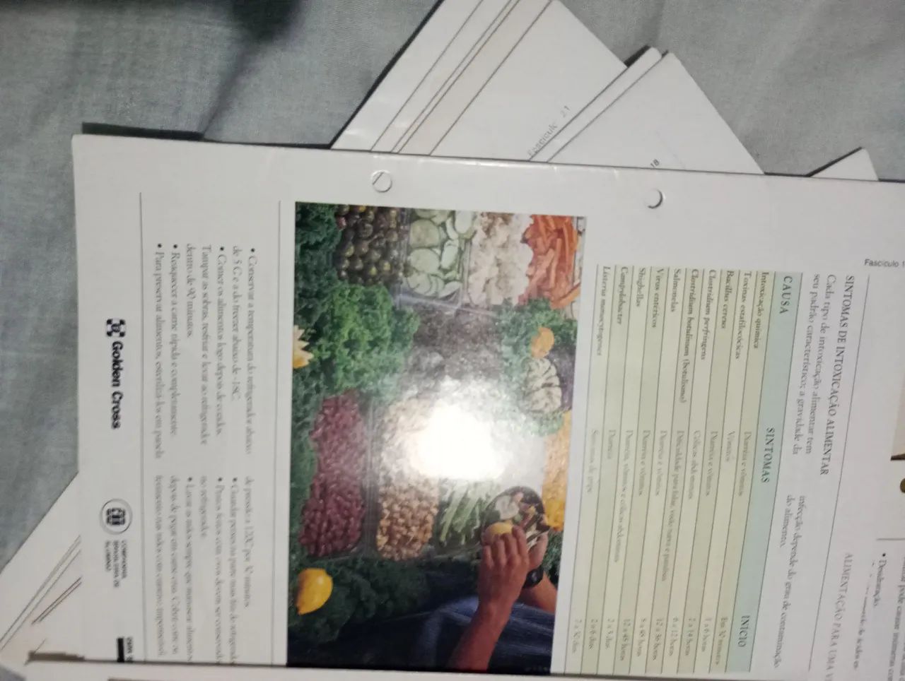 Fascículos guia da vida saudável anos 1995/1996 - Foto 4