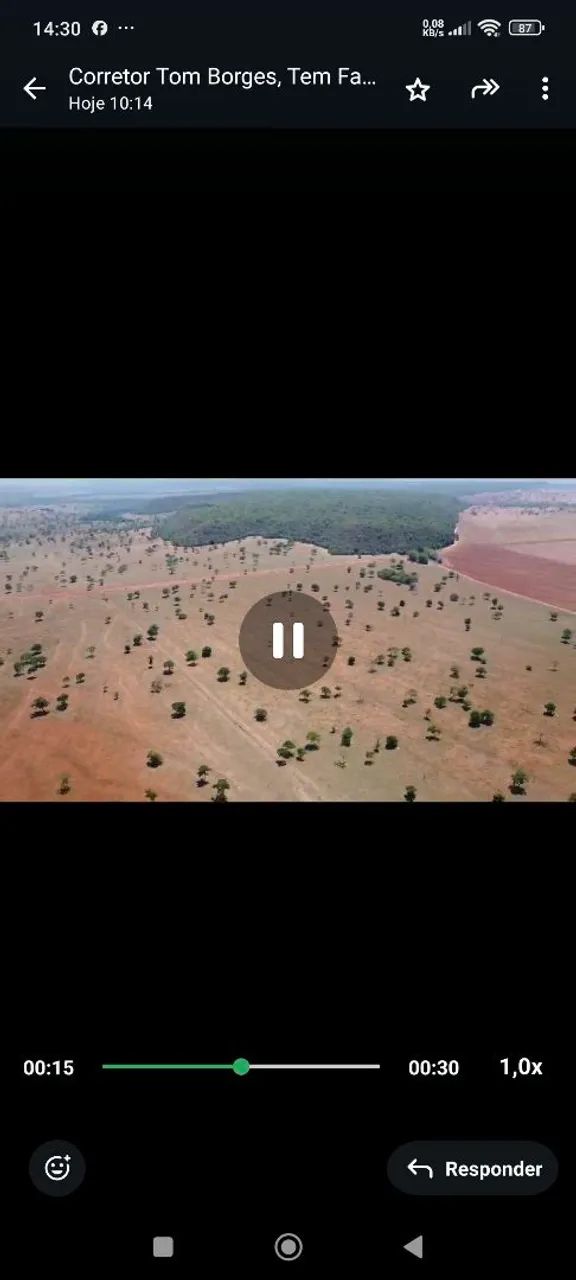 Fazenda arrendamento 3.000 hec em pasto, libera acima de 500hec 1° as no outro mais  - Foto 5