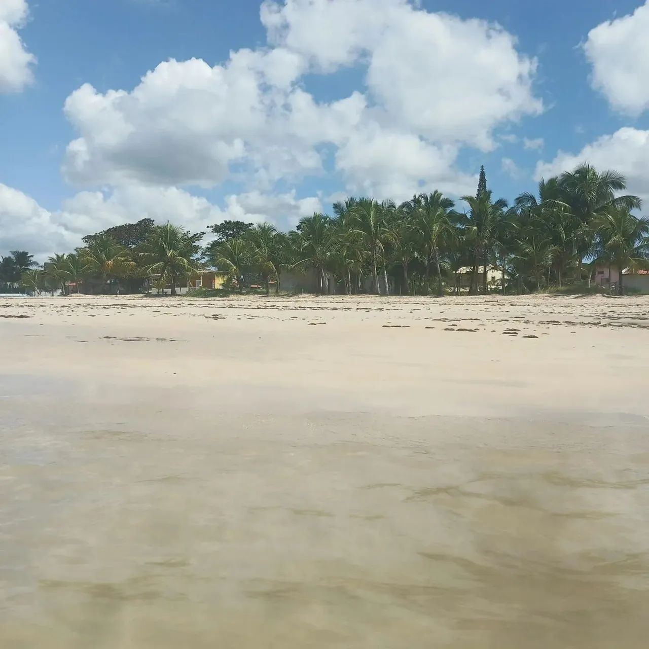 Aluguel por temporada na ilha 500 - Foto 5