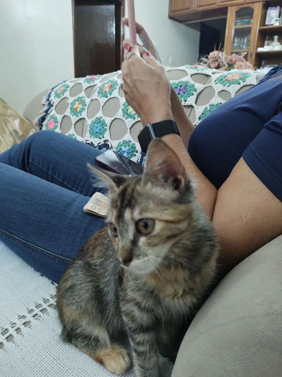 Gatinha em Anápolis procurando Lar - Foto 4